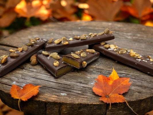 Dark Chocolate Pumpkin Caramel Bars